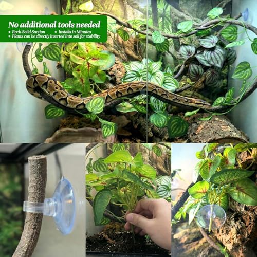 5 Pcs Reptile Plants & Habitat Decor Kit - Artificial Plants & Large 3.3ft Jungle Vine Branch, Artificial Leaves with Suction Cup Tank Decor Accessories for Crested Gecko, Lizard, Snake,Forg,Tortoise - Image 6