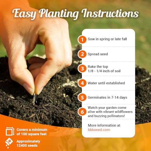 BBB Seed Monarch Butterfly Wildflower Seeds, Milkweed Mix, Non-GMO 1 oz - Image 3