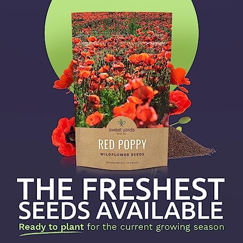 Red Poppy Seeds - Bulk 1/4 Pound Bag - Over 800,000 Wildflower Seeds - Image 2
