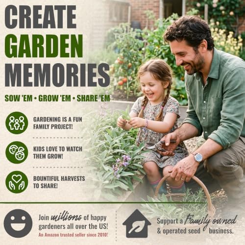 Seed Needs Broad Leaved Sage Seeds to Plant an Herb Garden - 5 Packs - Image 6