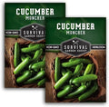 Muncher Cucumber Seeds for Planting - Low-Acid Slicing Cucumbers (2 Packs) by SurvivalGardenSeeds