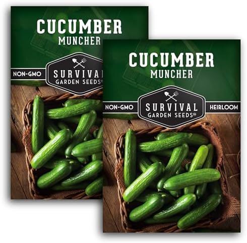 Muncher Cucumber Seeds for Planting - Low-Acid Slicing Cucumbers (2 Packs) by SurvivalGardenSeeds