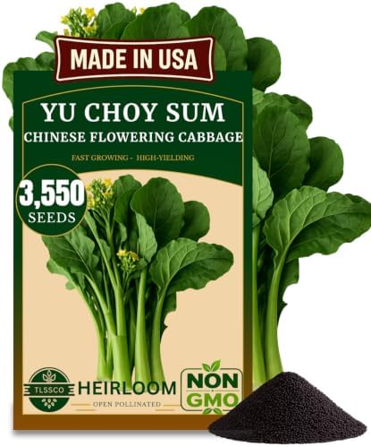 3500+ Yu Choy Sum Heirloom Vegetable Seeds for Planting by The+Lucky+Stars