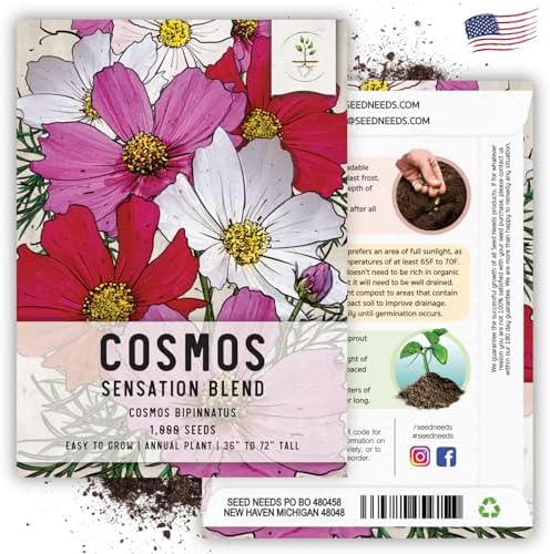 Seed Needs Sensation Cosmos Seeds to Plant Cut Flowers - 2 Packs - Image 6