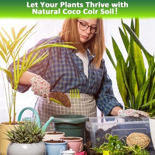 Legigo 2 Pack Coco Coir Bricks for Plants- 100% Organic Coconut Coir Soil - Image 5