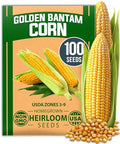 HOME GROWN Golden Bantam Sweet Corn Seeds, 100+ Seeds, Zea mays by HOMEGROWN