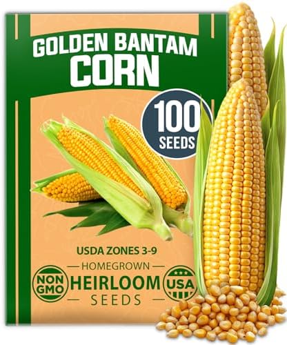 HOME GROWN Golden Bantam Sweet Corn Seeds, 100+ Seeds, Zea mays by HOMEGROWN