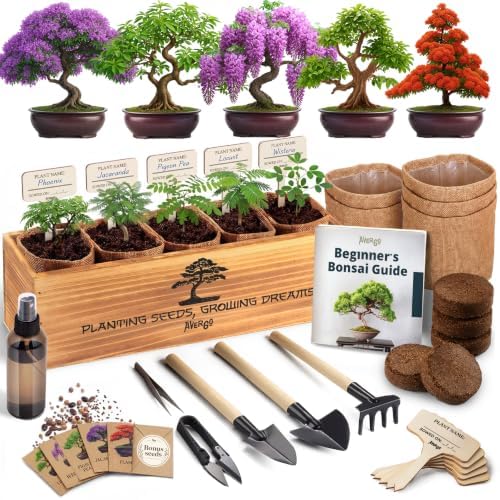 Bonsai Tree Kit Classic - Growing 5 Unique Japanese Bonzai Trees by Plantingseedsgrowingdreams