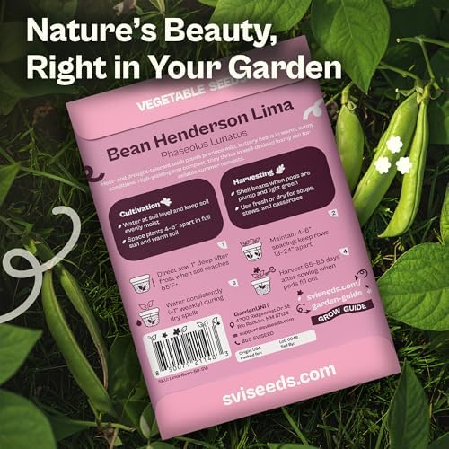 SVI 75 Henderson Lima Bean Seeds (Phaseolus lunatus) – Bush Baby Lima Beans Seed Packets, Green Beans – Heirloom Vegetable Seeds for Outdoor Home Garden, Containers - Image 2