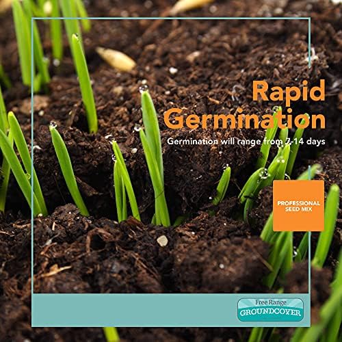 Barenbrug Free Range GroundCover Forage Seed Mixture - Ideal for Chickens, Game Birds, Goats, and Sheep - 3 lb Bag, Blue - Image 4