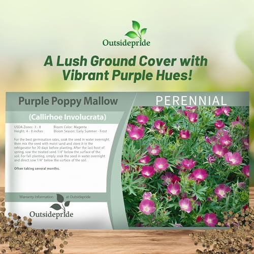 Outsidepride Mallow Poppy Seeds for Planting - 50 Pcs Perennial, Drought-Tolerant & Easy to Grow Wildflower Seeds with Vibrant Purple Blooms for Landscaping, & Pollinator Garden - Image 5