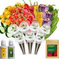 inbloom 7-Pod Pepper Seed Pod Kit for AeroGarden, iDOO, Ahopegarden Hydroponic Growing System, Include Cucumber, Red&Golden Tomato, Red Chili Pepper, Green&Yellow Pepper, Purple Pepper, 350+ Seeds by inbloomgarden