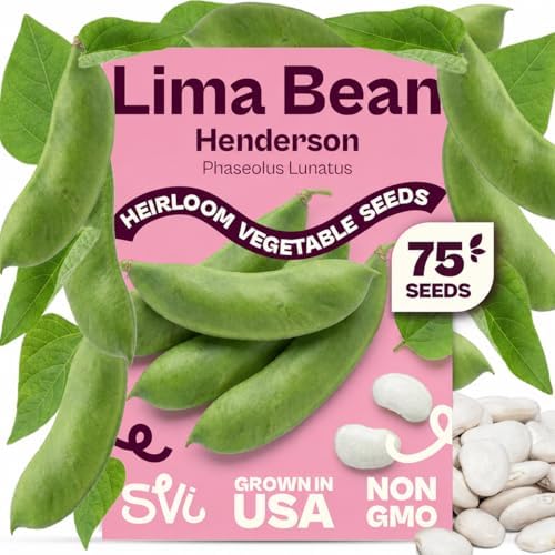 SVI 75 Henderson Lima Bean Seeds (Phaseolus lunatus) – Bush Baby Lima Beans Seed Packets, Green Beans – Heirloom Vegetable Seeds for Outdoor Home Garden, Containers by SVI