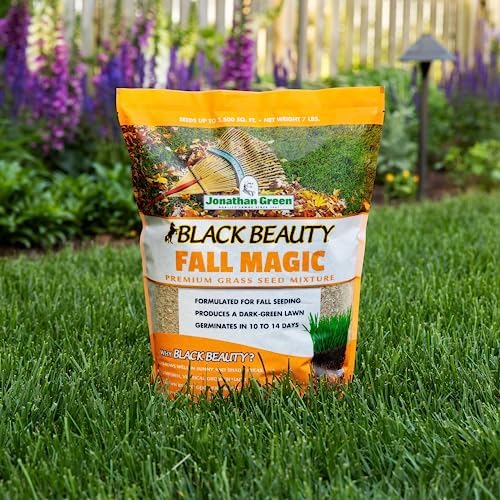 Jonathan Green Black Beauty Fall Magic Grass Seed - 3 lb - Image 3