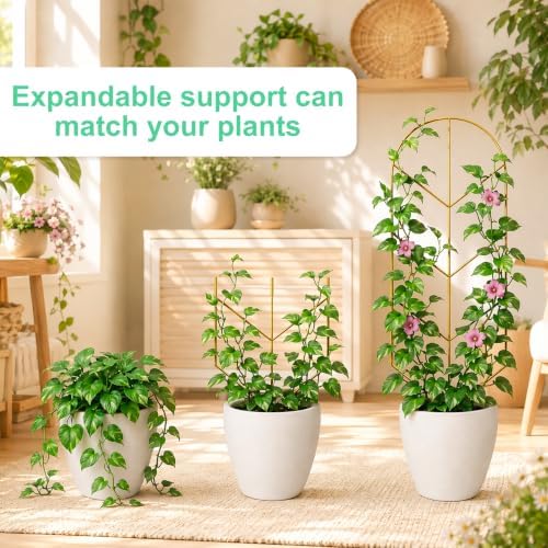2 Pack Large Climbing Plant Trellis, 30'' Tall Garden Support for Potted Plants Indoor, Modern Decorative Trellis for Crawling Plants Jasmine, Wisteria and Lilac Vines (Gold) - Image 5