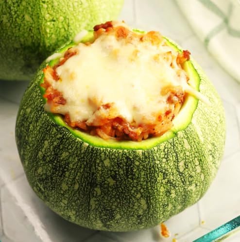 Round Zucchini Seeds - 270+ Count - for 2026 Planting Eight 8 Ball Ronde Rondini Summer Squash Patty Pan Courgette Bush Garden Vegetable Grow Your Own Home Farm Patio Healthy - Image 5