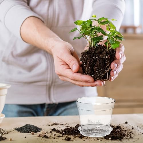 WSMKSZ 4 Inch Clear Nursery Pots, Set of 30 Transparent Plant Flower Pots for Small Indoor Plants with Drainage Holes & Trays, Plastic Seedling Starter Pots for Various Plants - Image 2