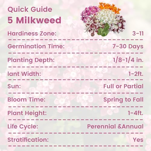 Milkweed Seeds Mix for Monarch Butterflies - Fruivity 5 Varieties Mixed Perennial Wildflower Milkweed Seeds Butterfly, Common, Showy, Pink Swamp & White Swamp - Flower Seeds for Garden - Image 3