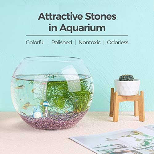 T4U Crystal Rocks for Aquarium, Amethyst Chips Pebbles for Plants 1 lb - Image 4