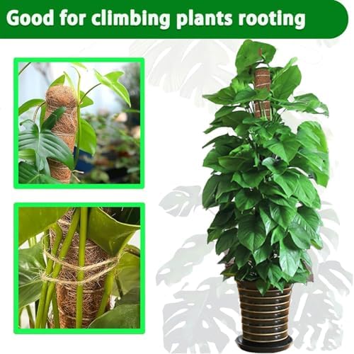 Moss Pole, 4Pack 21 Inch Plant Support Stakes for Indoor Plants, Monstera Plant Support Stakes, 69 Inch Tall Coir Plant Pole Sticks for Potted Plants, Pothos, Philodendron, Climbing Plants Accessories - Image 4