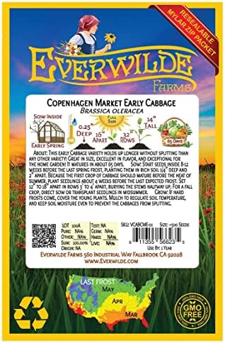 500 Copenhagen Market Early Cabbage Seeds - Gold Vault Jumbo Seed Packet - Image 2