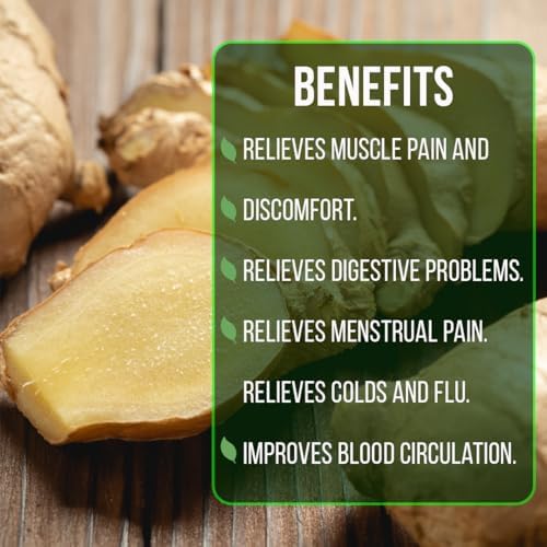 Ginger Root Plant (4 Pack) | Live Edible Plant for Planting | Grow Your Own Fresh Ginger at Home | Spicy & Aromatic Rhizome for Cooking & Tea | Easy to Grow Perennial for Organic Gardens - Image 6