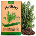Rosemary Seeds Pack 0.5 G - Over 325 Non-GMO Heirloom Seeds for Planting Herbs in Individual Packet, Home Garden Indoor & Outdoor Gardening by OrganoRepublic
