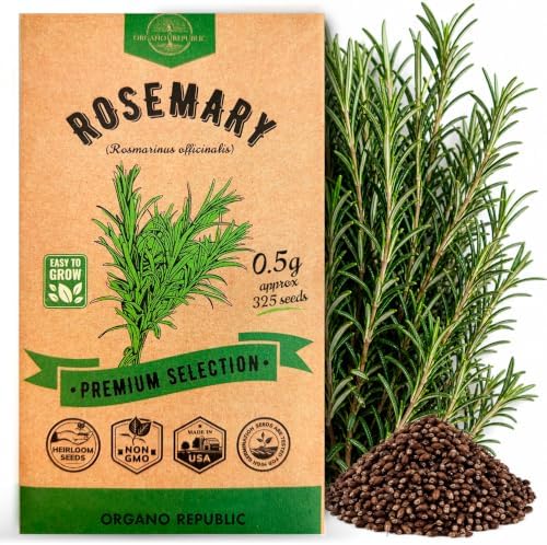 Rosemary Seeds Pack 0.5 G - Over 325 Non-GMO Heirloom Seeds for Planting Herbs in Individual Packet, Home Garden Indoor & Outdoor Gardening by OrganoRepublic