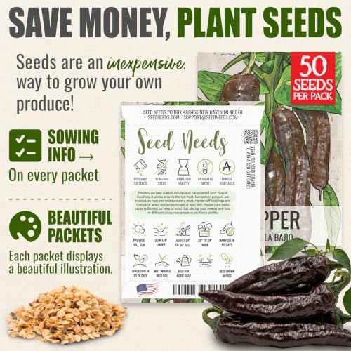 Seed Needs Pasilla Bajio Hot Pepper Seeds to Plant Vegetables - 5 Packs - Image 3
