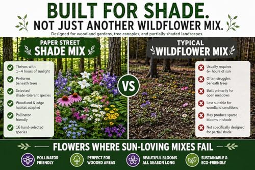 Shade Wildflower Seed Mix – 16 Annual & Perennial Species, Wildflowers for Shade, Pollinator-Friendly, Non-GMO Seeds, 1/2lb Covers Up to 1,600 Sq Ft - Image 2