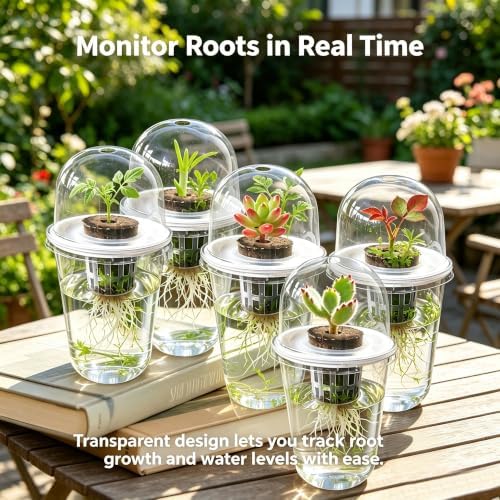 6 Pack Clear Hydroponic Nursery Pots with Humidity Dome for Seed Starting - Image 2