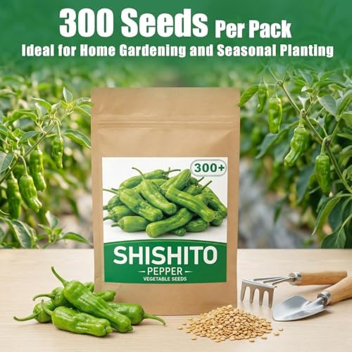 300+ Japanese Shishito Pepper Seeds for Planting, High Germination - Image 2