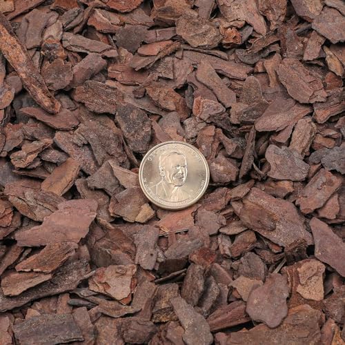 Orchid Bark 2qt, Natural Pine Bark Mulch for Plants, Great for Orchids, Succulents, Cactus, Bonsai, Ideal for Houseplant Mulch - Image 2