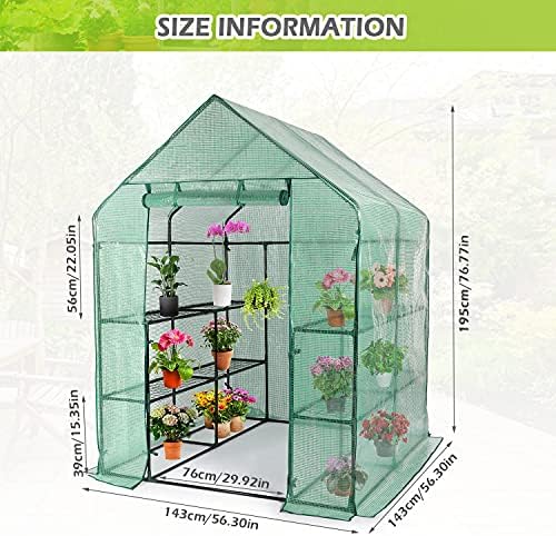 Walk-in Greenhouse - 3 Tiers 8 Shelves Plant Stands, Outdoor With Anchors Roll-up Zipper Door, Waterproof Gardening, PE Cover, 56"x56"x77" - Image 7
