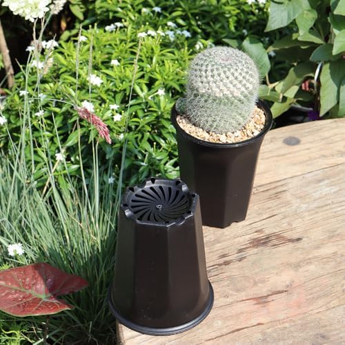 10 Pack 5.30 Inch Black Plastic Deep Nursery and Seedling Pots, Round Planter Container for Transplanting, Cutting, Succulent - Image 4