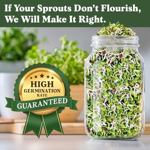 Seedboy Organic Non-GMO Sprouting Seeds (Daikon Radish) - Image 3