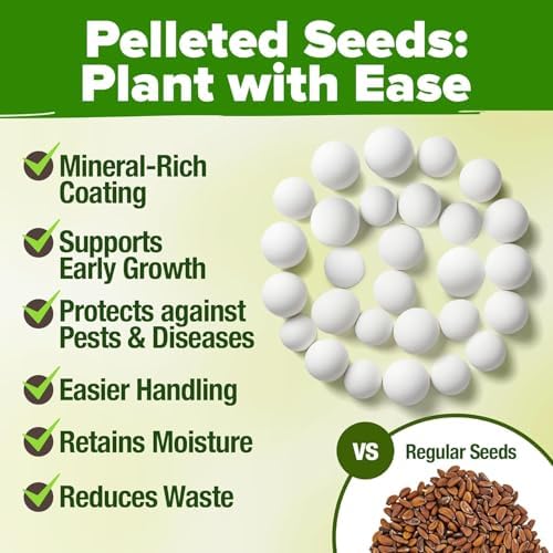 HOME GROWN 15 Organic Herb Seeds 2500+ Assortment Indoor Outdoor Planting - Image 6