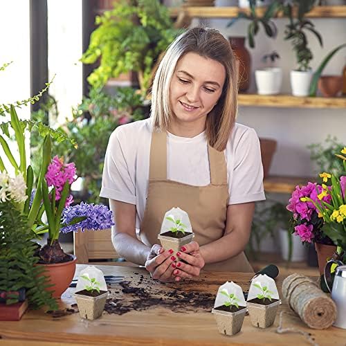 PURPLE STAR 1N 20 Pcs Biodegradable Nursery Pots with Humidity Dome- 2.3 Inch Square Seeding Starter Pot for Planting- Peat Pots for Seedlings Garden Vegetable Flower Germination - Image 6