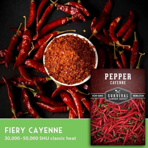 Cayenne Pepper Seeds for Planting - 1 Pack - Image 3
