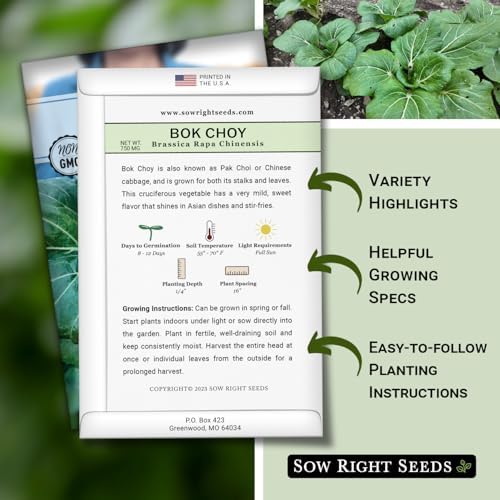 Sow Right Seeds - Bok Choy Seed for Planting Pak Choi Chinese Cabbage 4pk - Image 2