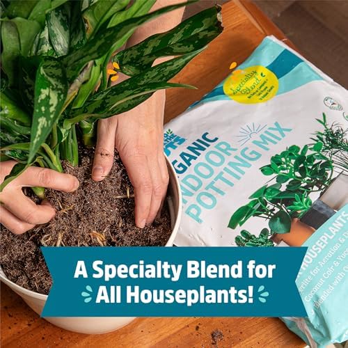 Back to the Roots 100% Organic Indoor Potting Mix (Value 12 Quart) | Promotes Healthy Houseplant Growth| Made in The USA - Image 3