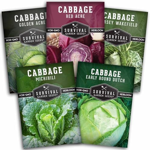 Cabbage Seeds 5 Variety Seed Pack - Survival Garden Seeds by SurvivalGardenSeeds