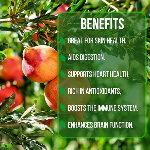 Pomegranate Salavatski Live for Sale (4 Pack) | Easy to Grow Plants | Edible Fruit Plant for Sustainable Living | Grow Your own Food on Your Edible Organic Garden| Live for Planting| 2 inch Pot - Image 5