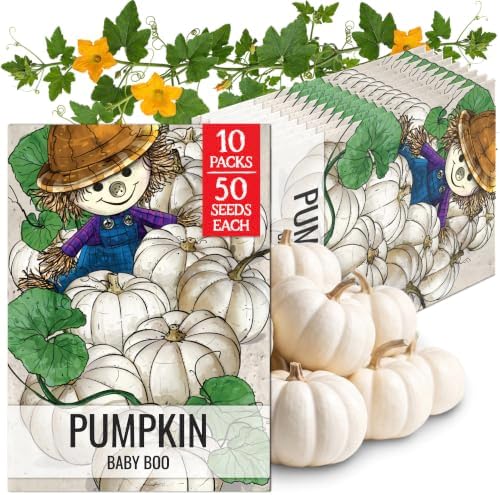 Seed Needs Baby Boo Pumpkin Seeds to Plant Vegetables - 10 Packs by SeedNeeds