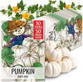 Seed Needs Baby Boo Pumpkin Seeds to Plant Vegetables - 10 Packs by SeedNeeds