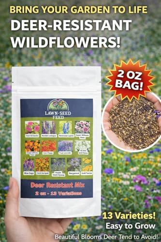 Deer Resistant Wildflower Seeds (2oz) Hardy Garden Flowers Designed to Deter Deer & Support Pollinators - Image 5