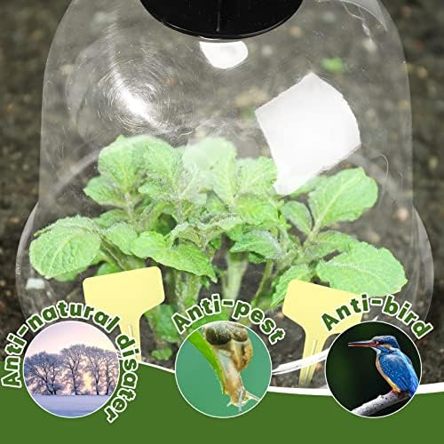 20 Pack Garden Cloches for Plants Clear Bell Covers 7.3x6.7 Inch - Image 5