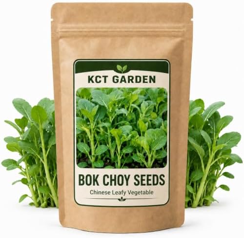 Bok Choy Seeds for Planting, Approx. 2,000 Chinese Cabbage Seeds, 1 Pack by Unknown