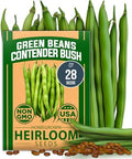 HOME GROWN Contender Bush Bean Seeds, 28+ Seeds, Phaseolus vulgaris by HOMEGROWN