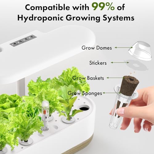 LYKOCLEAN Low-calorie Salad Seed Pods for AeroGarden, Ahopegarden, iDOO Hydroponics Growing System, 350 Seeds+ Including American Fast Lettuce, Buttercrunch Lettuce, Red Tomato, Golden Tomato (7-Pods) - Image 6